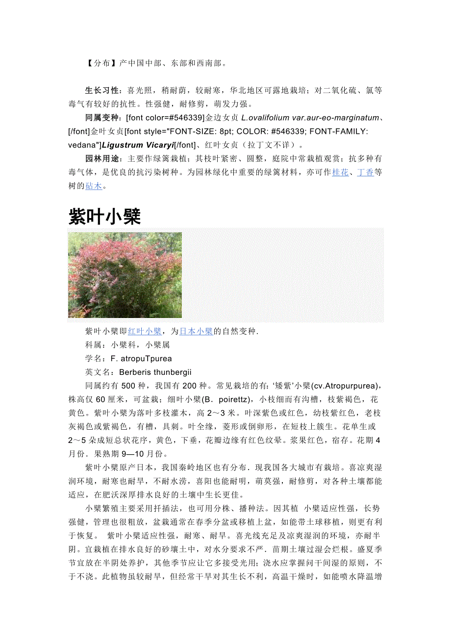 耐修剪整形植物_第2页