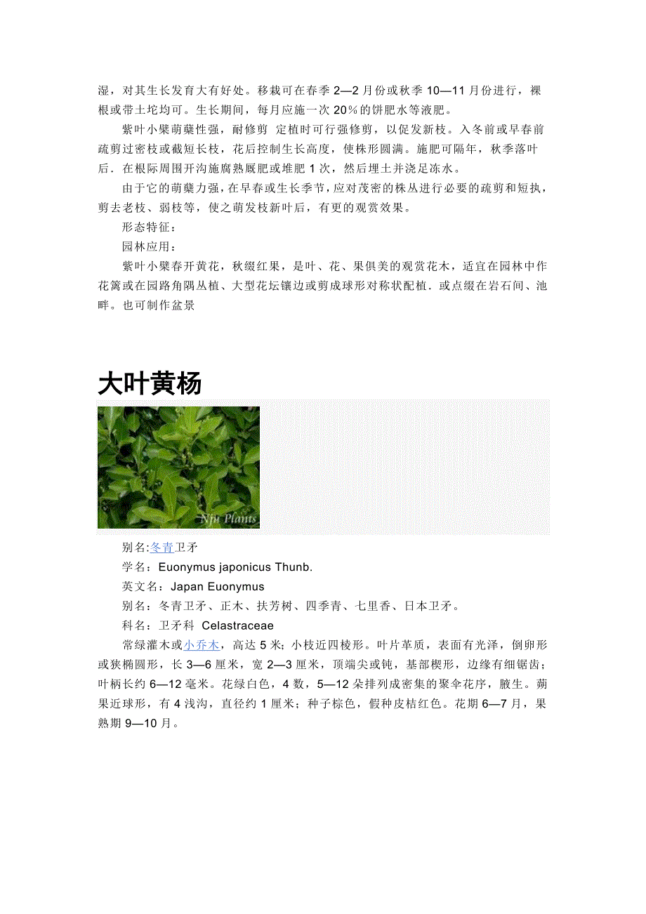 耐修剪整形植物_第3页