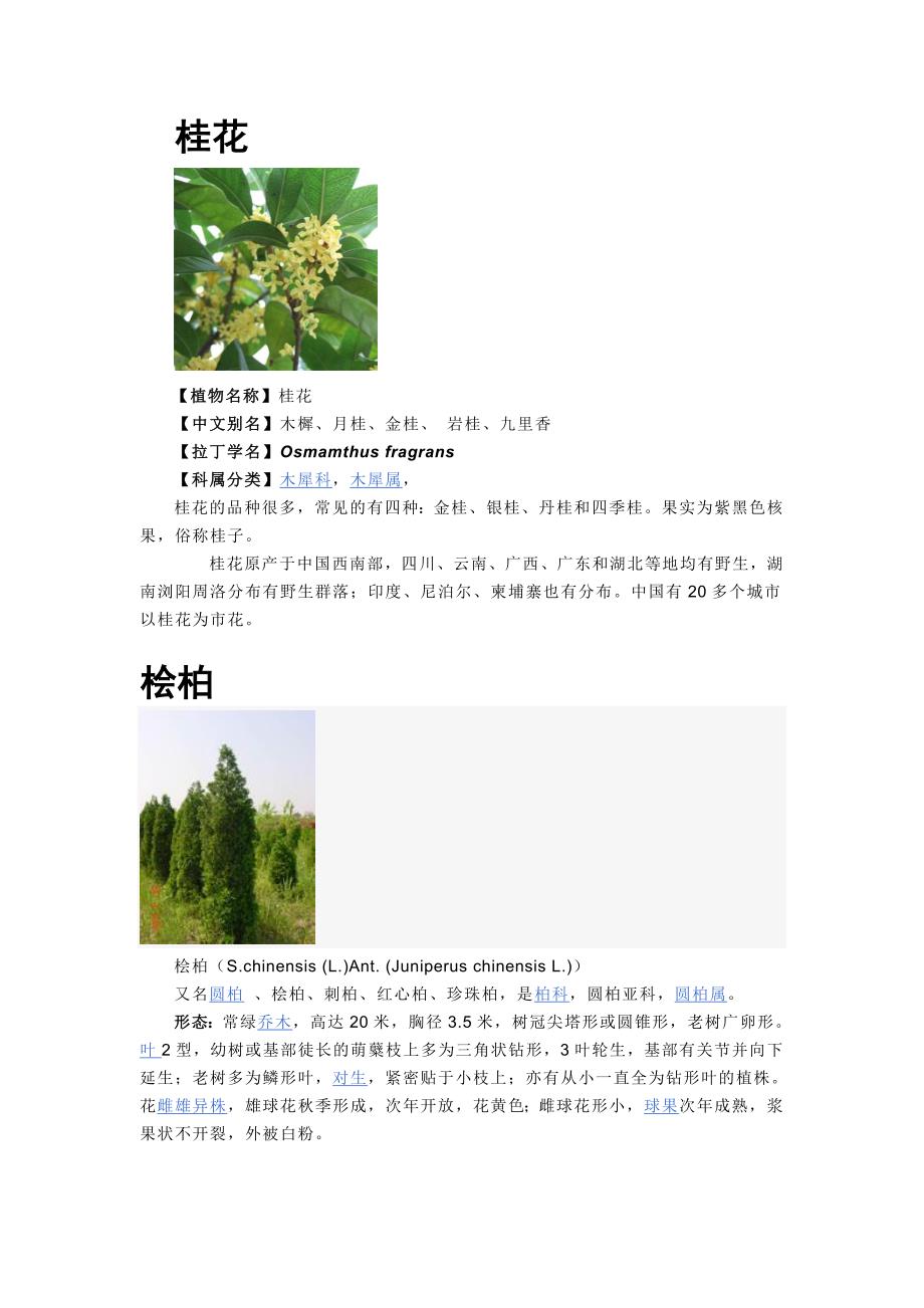 耐修剪整形植物_第4页