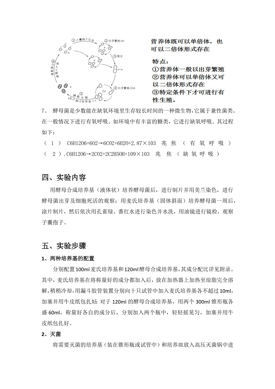 微生物实验7 酵母菌_第4页