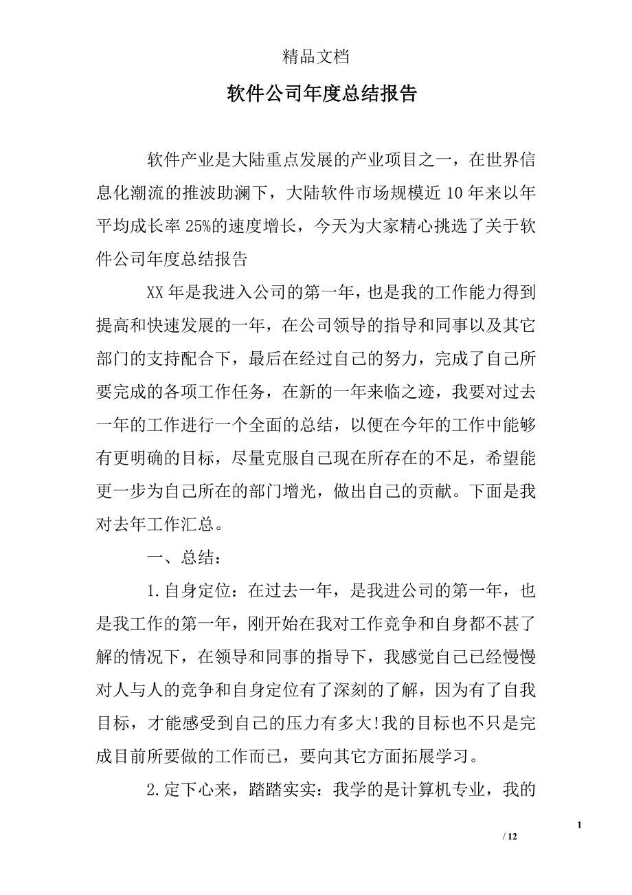 软件公司年度总结报告_第1页