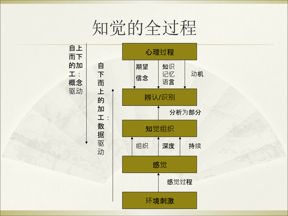 实验心理学-2010.12.11-辅修_第2页