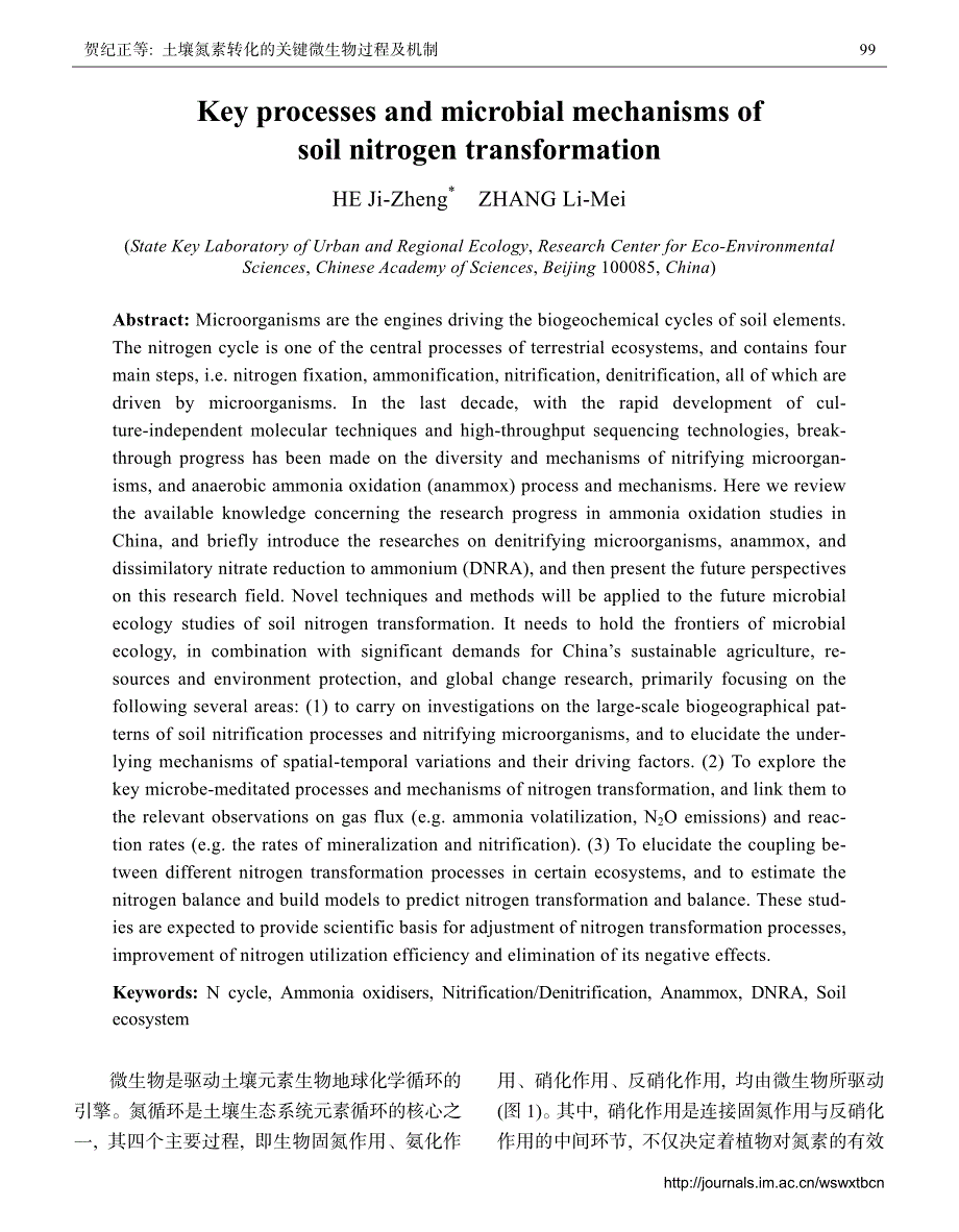 土壤氮素转化的关键微生物过程及机制_第2页