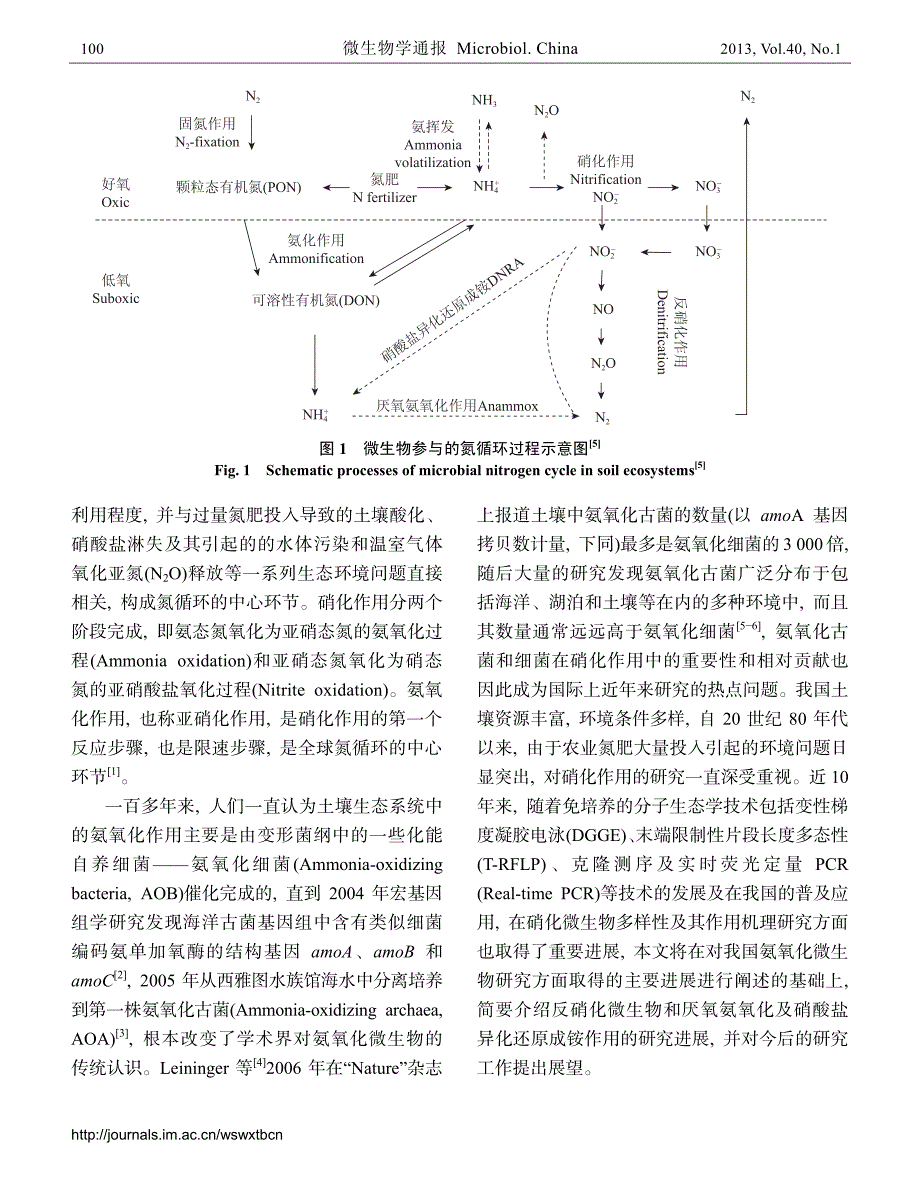 土壤氮素转化的关键微生物过程及机制_第3页