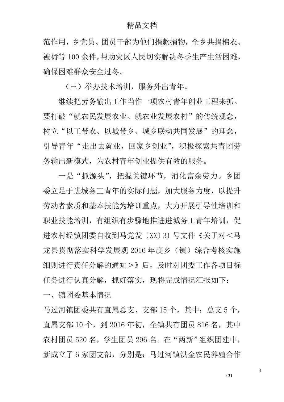 乡镇团委工作总结精选_第4页