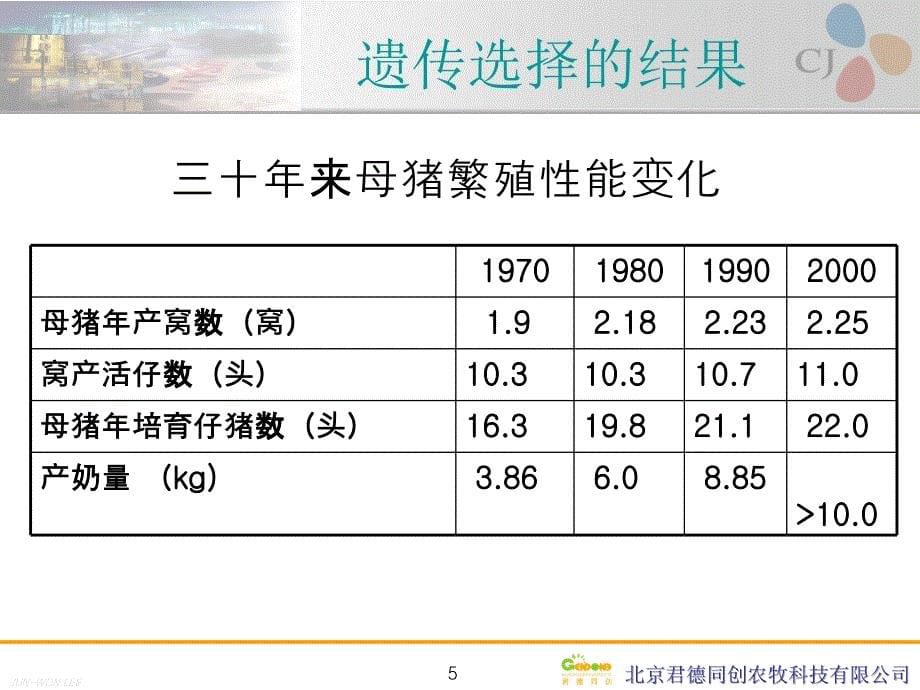 泌乳母猪料的配制_第5页