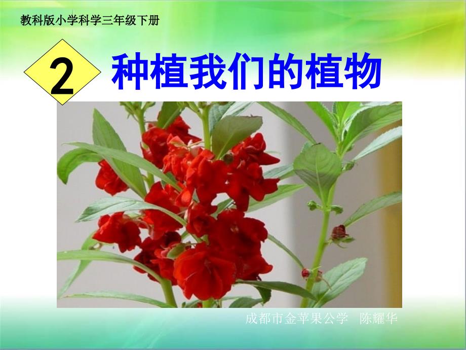 小学科学三下1-2种植我们的植物_第1页