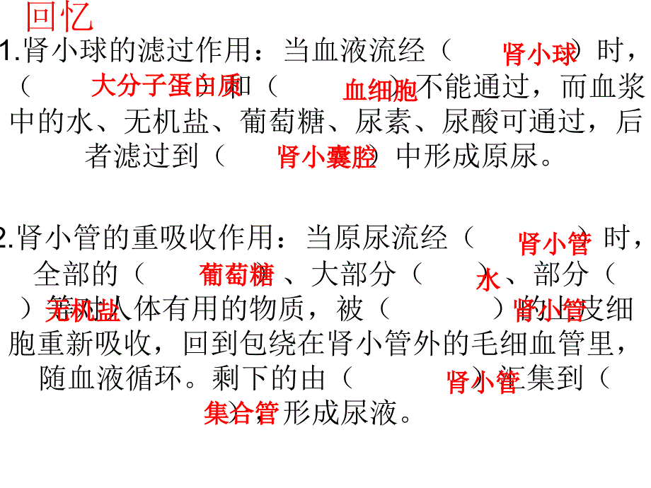 皮肤的排泄(4月15)_第1页