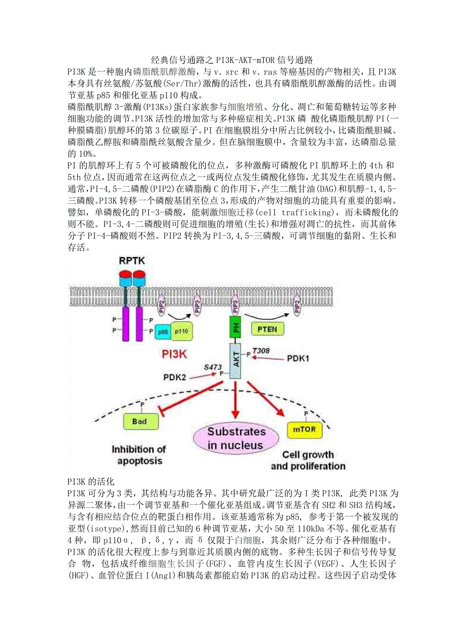 经典信号通路之pi3k-akt-mtor信号通路_第1页