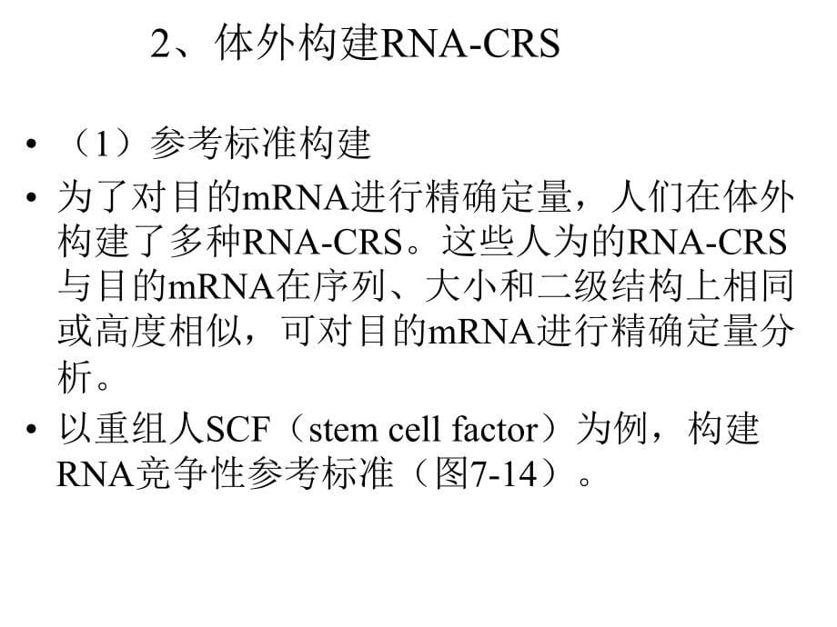 新分子生物学课件2012-5_第5页