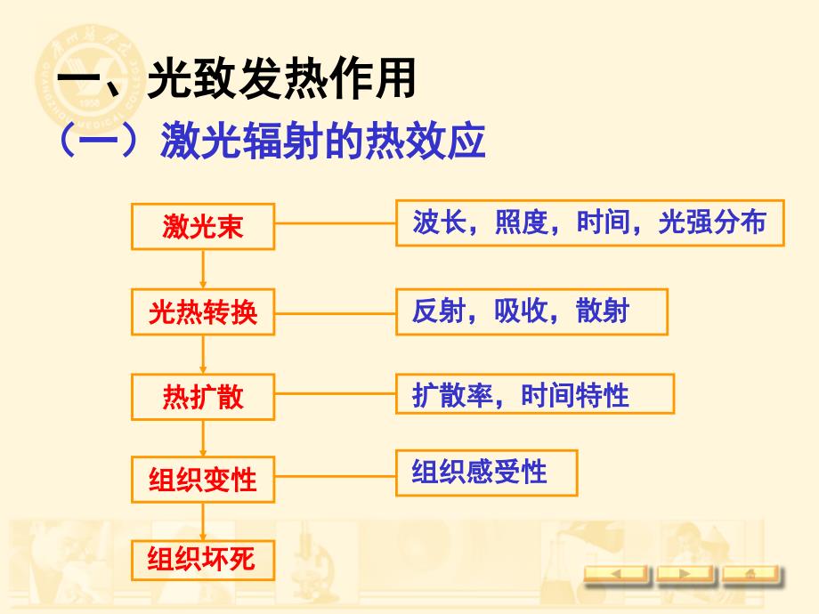 激光医学(生工09)2-3(1)_第2页