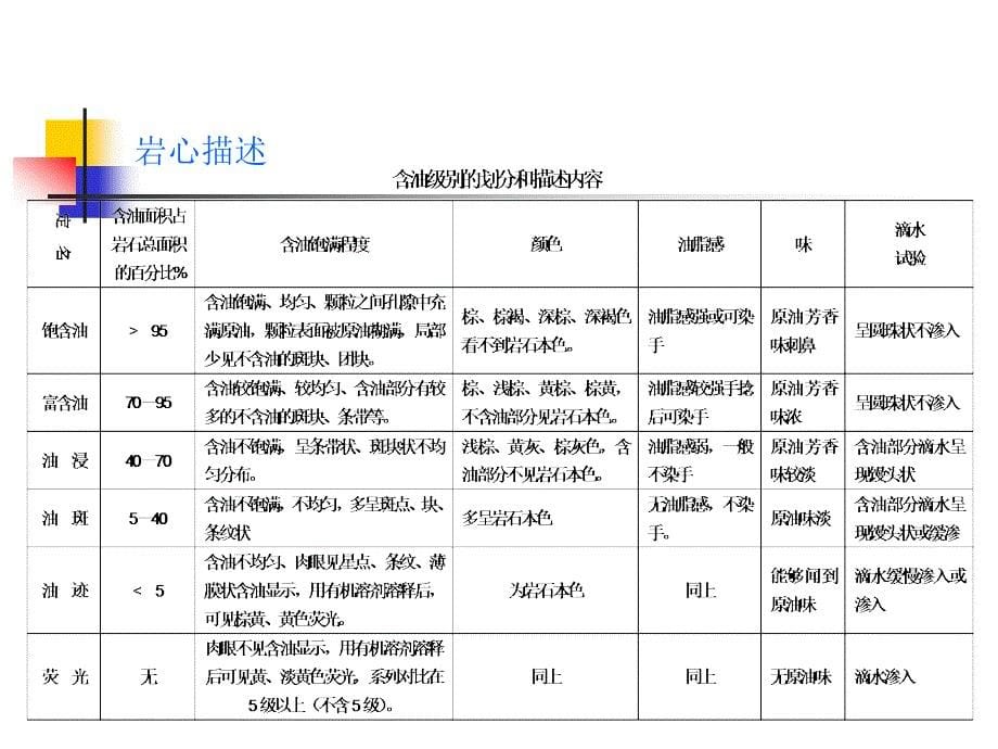 岩心描述-录井_第5页