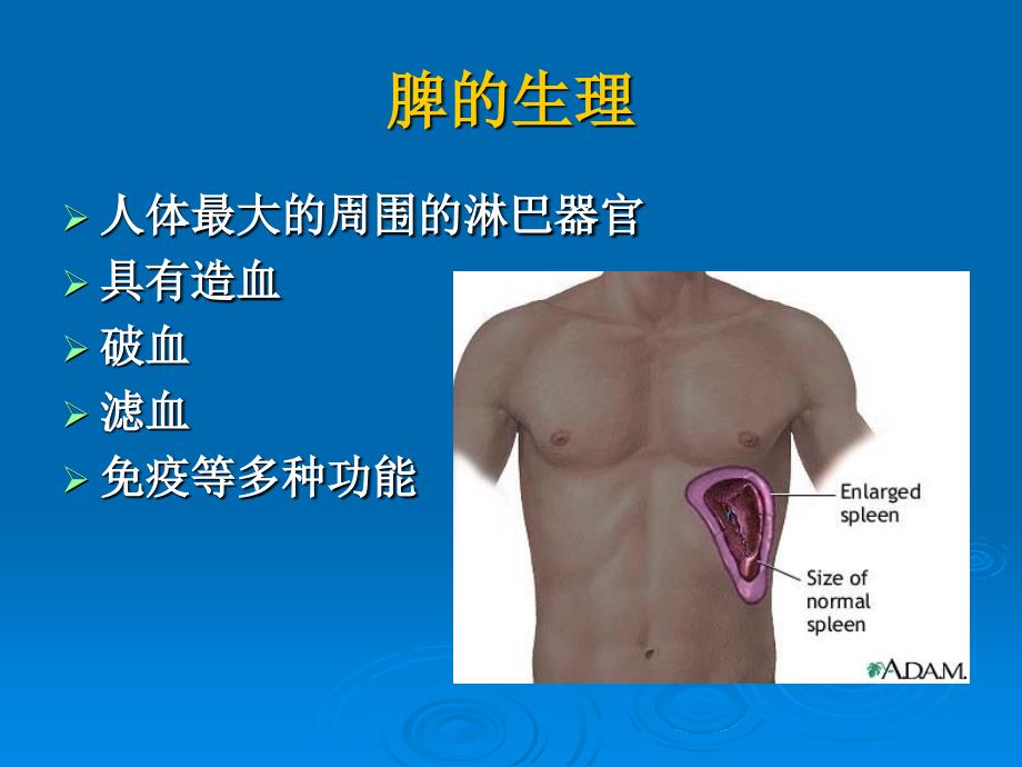 脾疾病的影像学检查_第4页