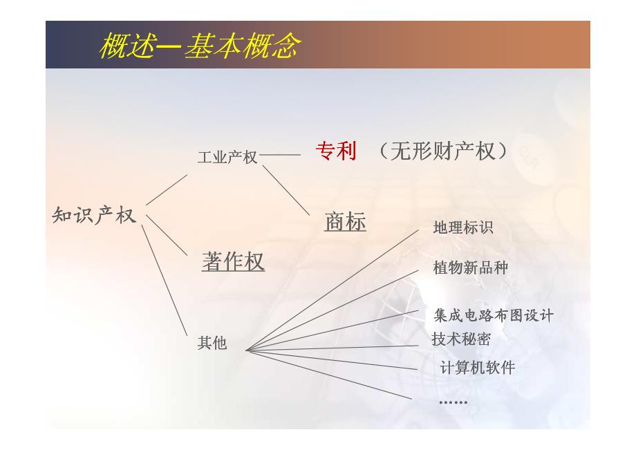 专利基础知识讲座--李震勇_第4页