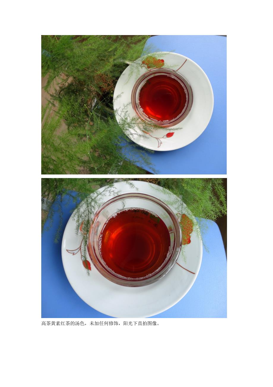 高茶黄素红茶的汤色_第1页
