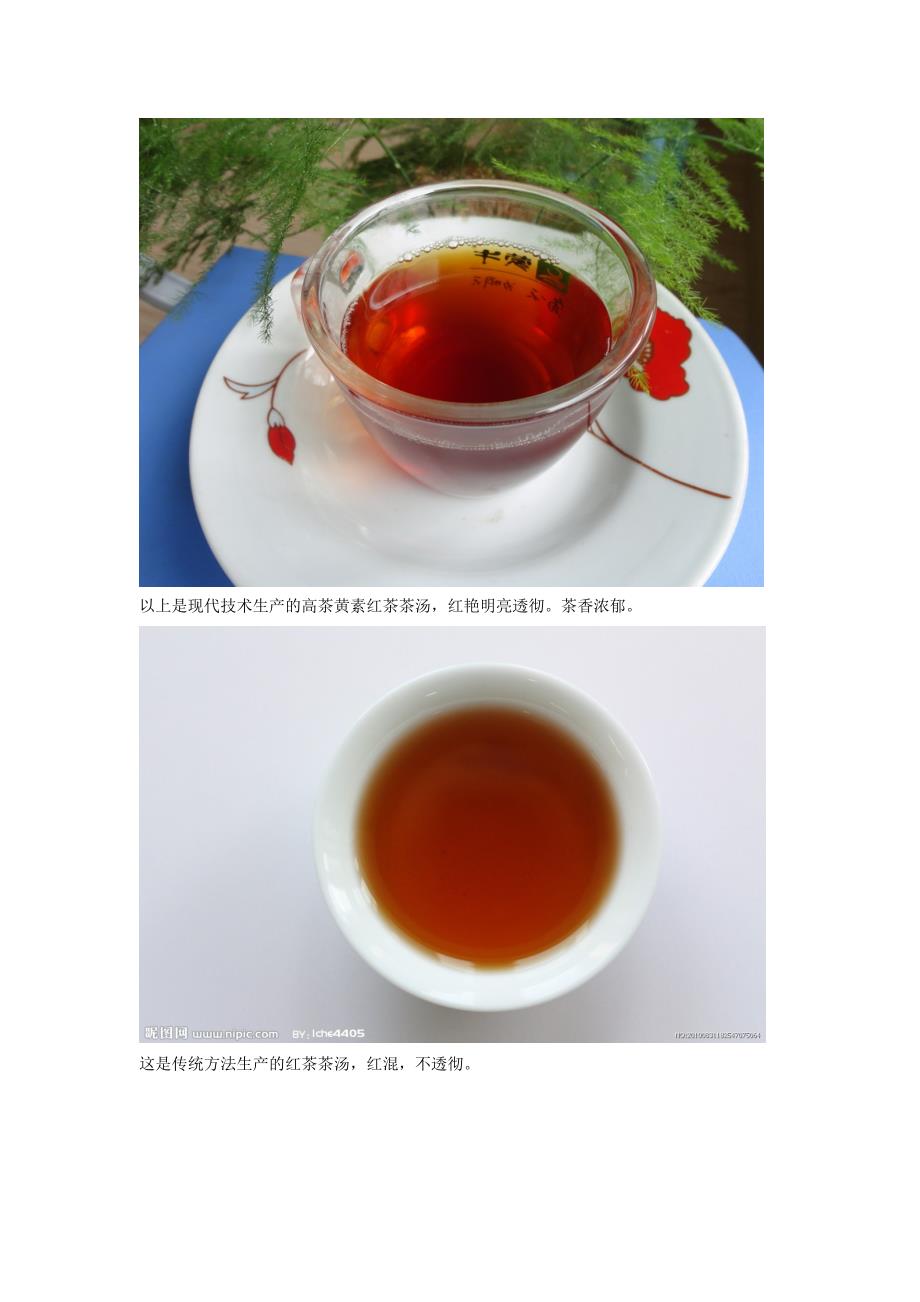 高茶黄素红茶的汤色_第2页