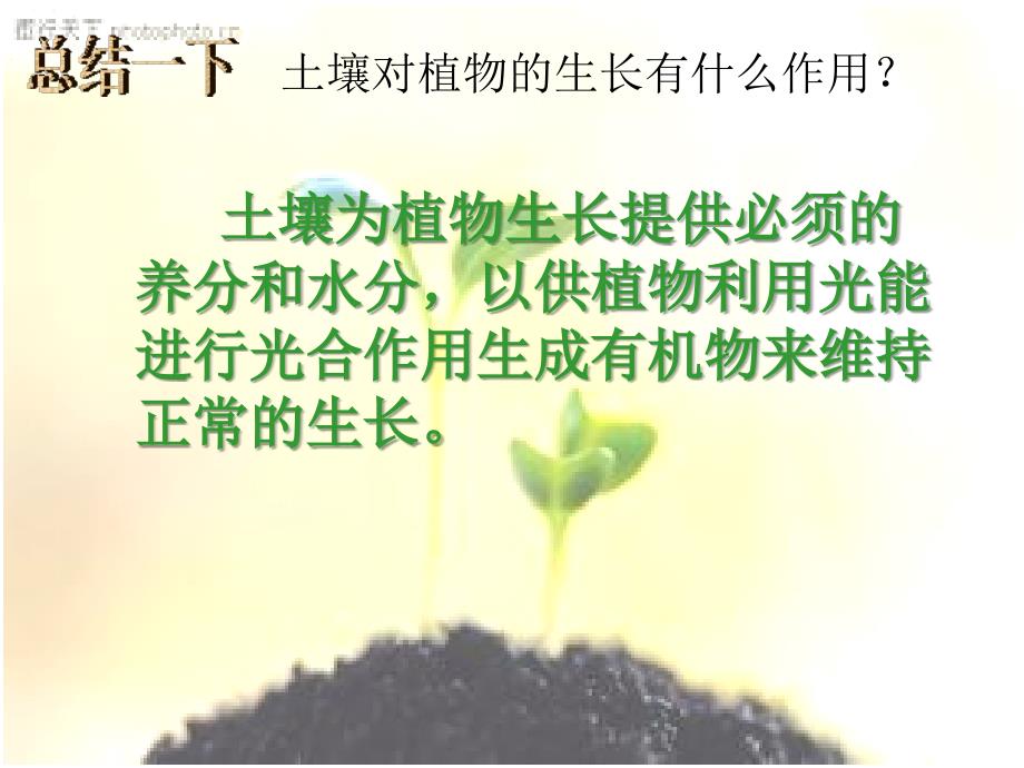 青岛版科学四年级下册9、土壤与植物_第4页