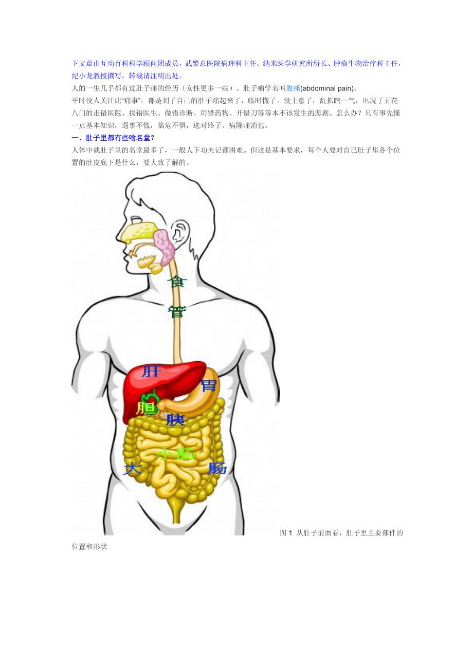 肚痛的位置和症状_第1页