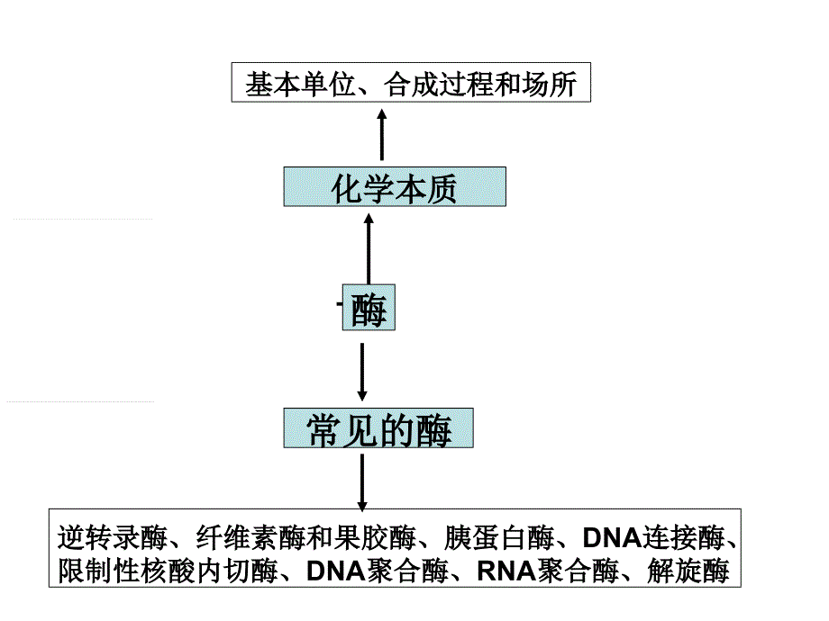 酶的基础知识和曲线_第3页