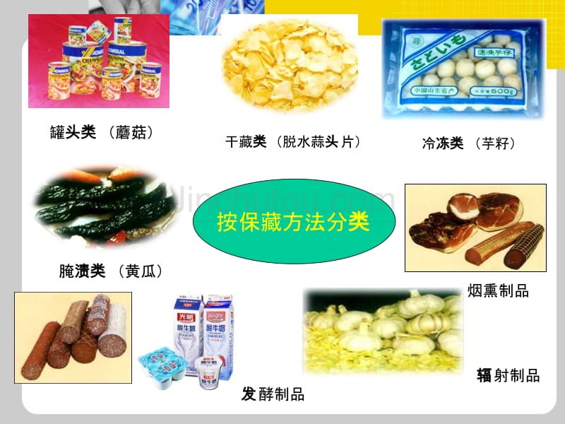 食品加工过程与质量控制  孙君社_第4页