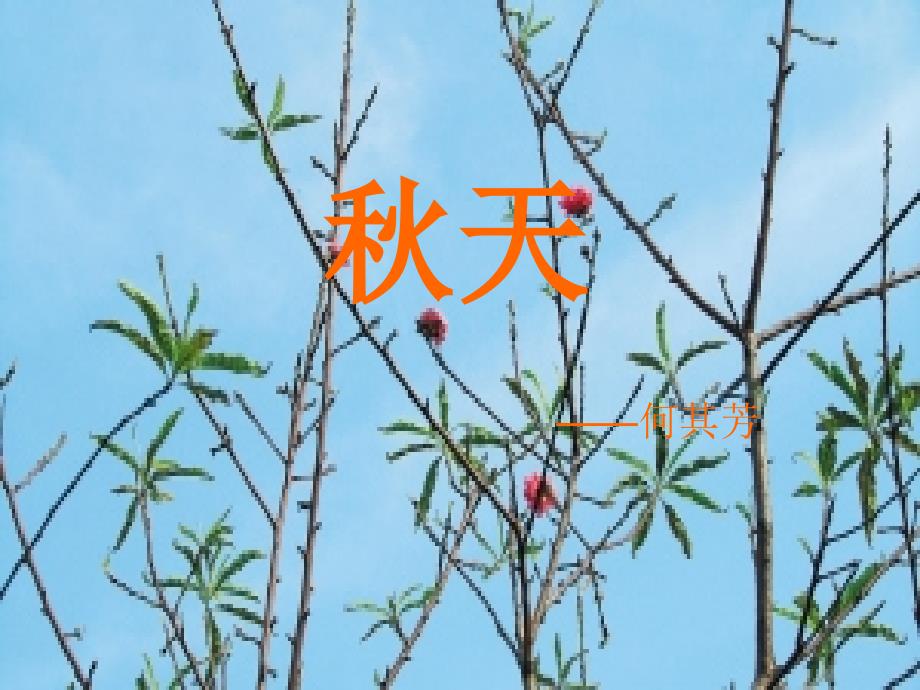初中语文《秋天》_第1页