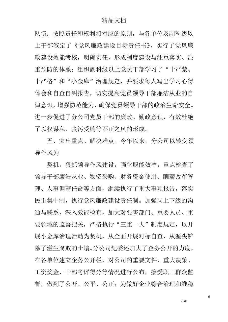 上海市纪委工作总结精选 _第5页