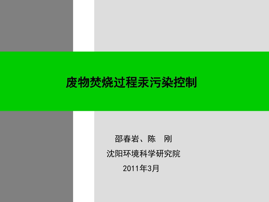 废物焚烧过程汞污染控制_第1页