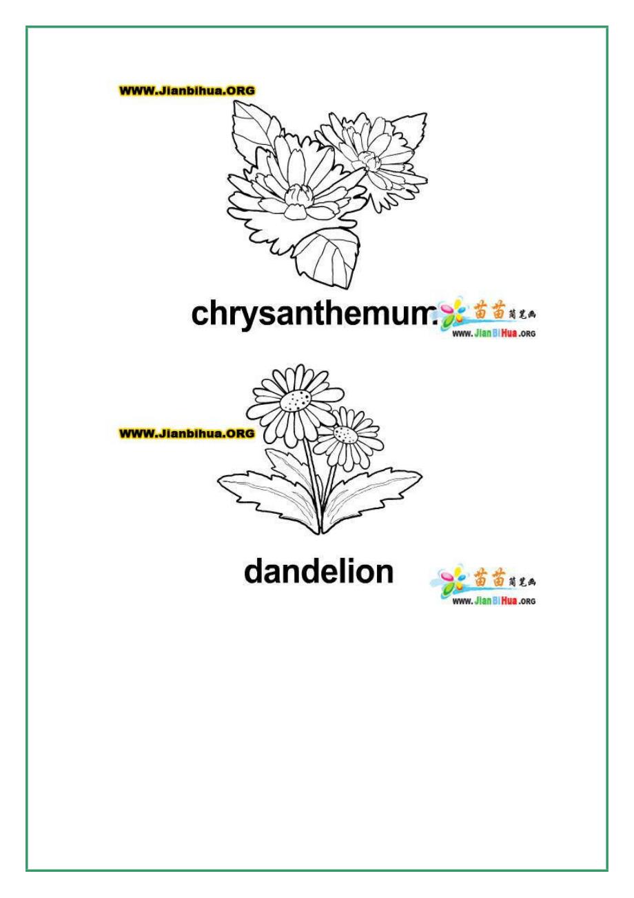 花草树木简笔画_第2页