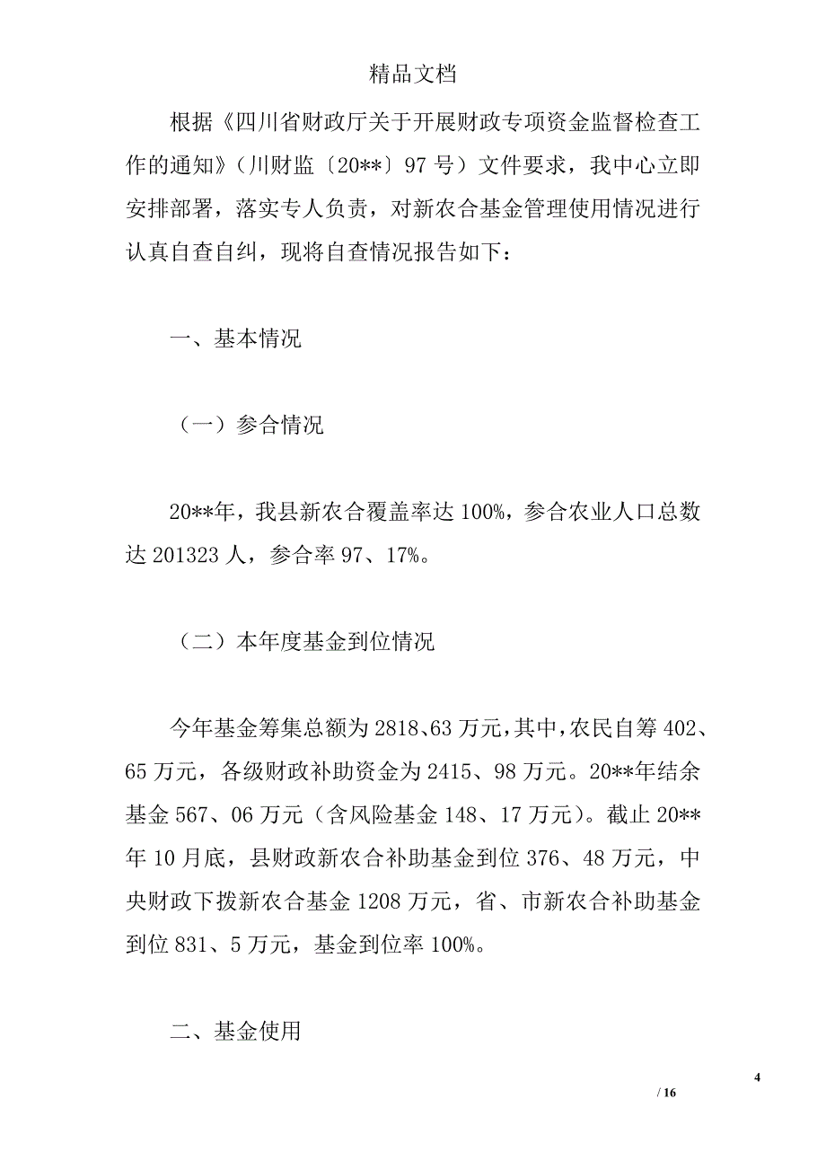 专项资金自查报告精选_第4页