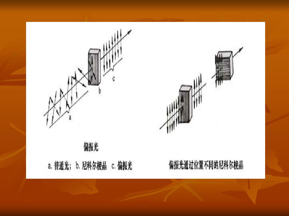 糖的旋光性和变旋现象_第4页