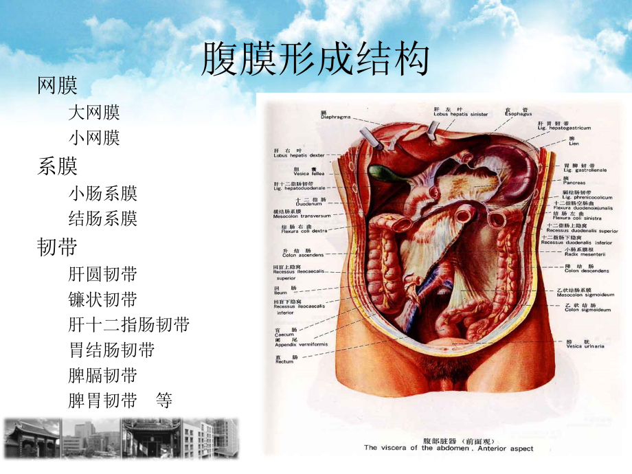 急性腹膜炎阑尾炎_第4页