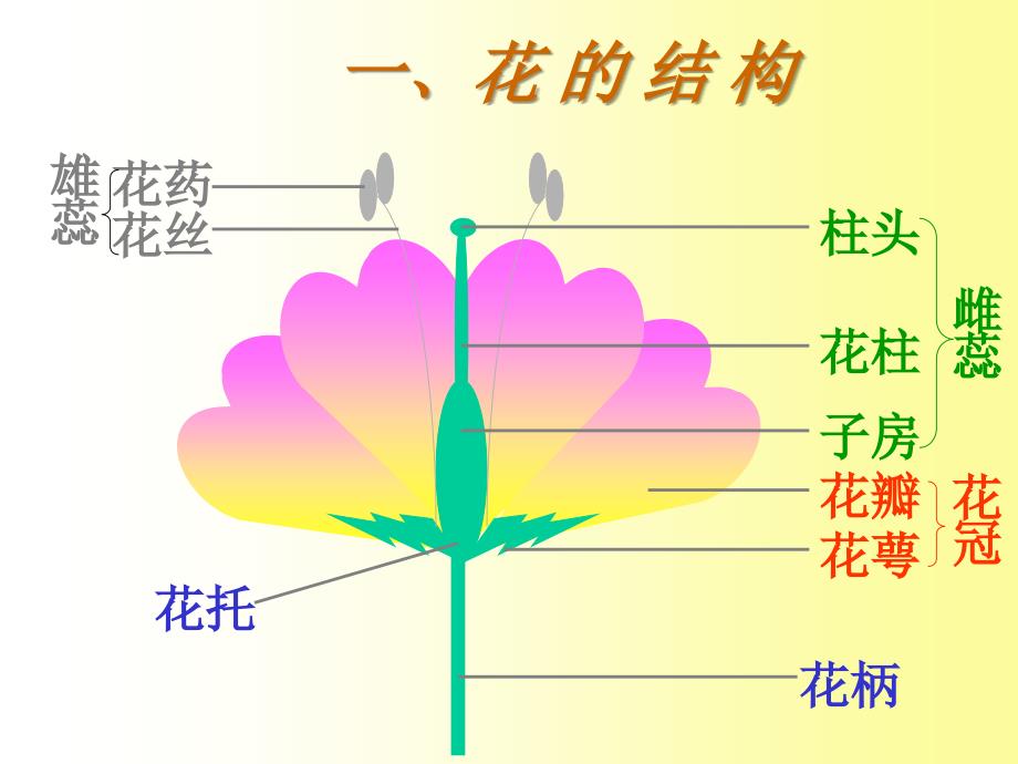 孟德尔的豌豆杂交实验[1].ppt]_第2页