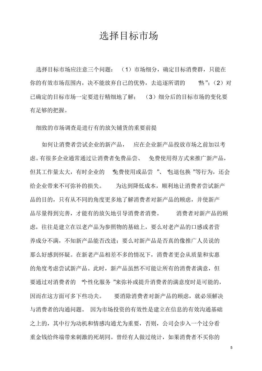 广告投放策划书_第5页