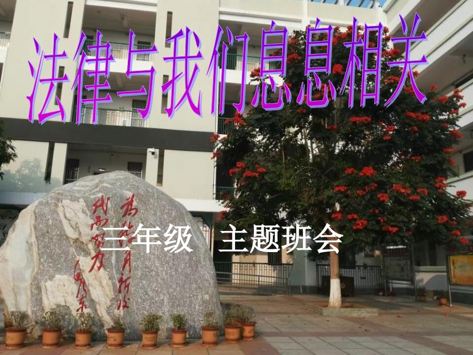 《法律与我们息息相关》主题班会_第1页