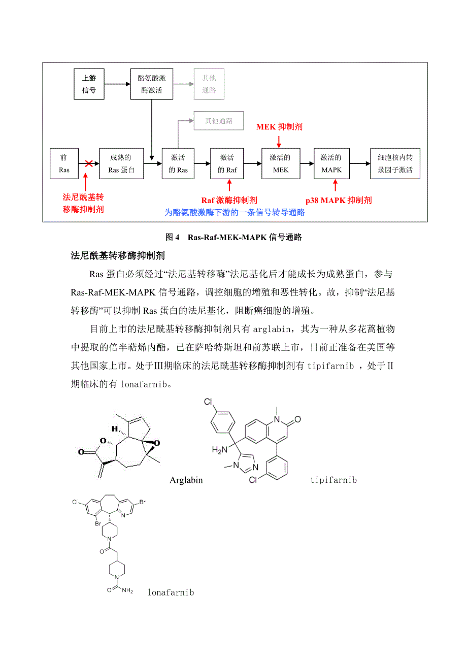 小分子靶向治疗药物简介_第4页