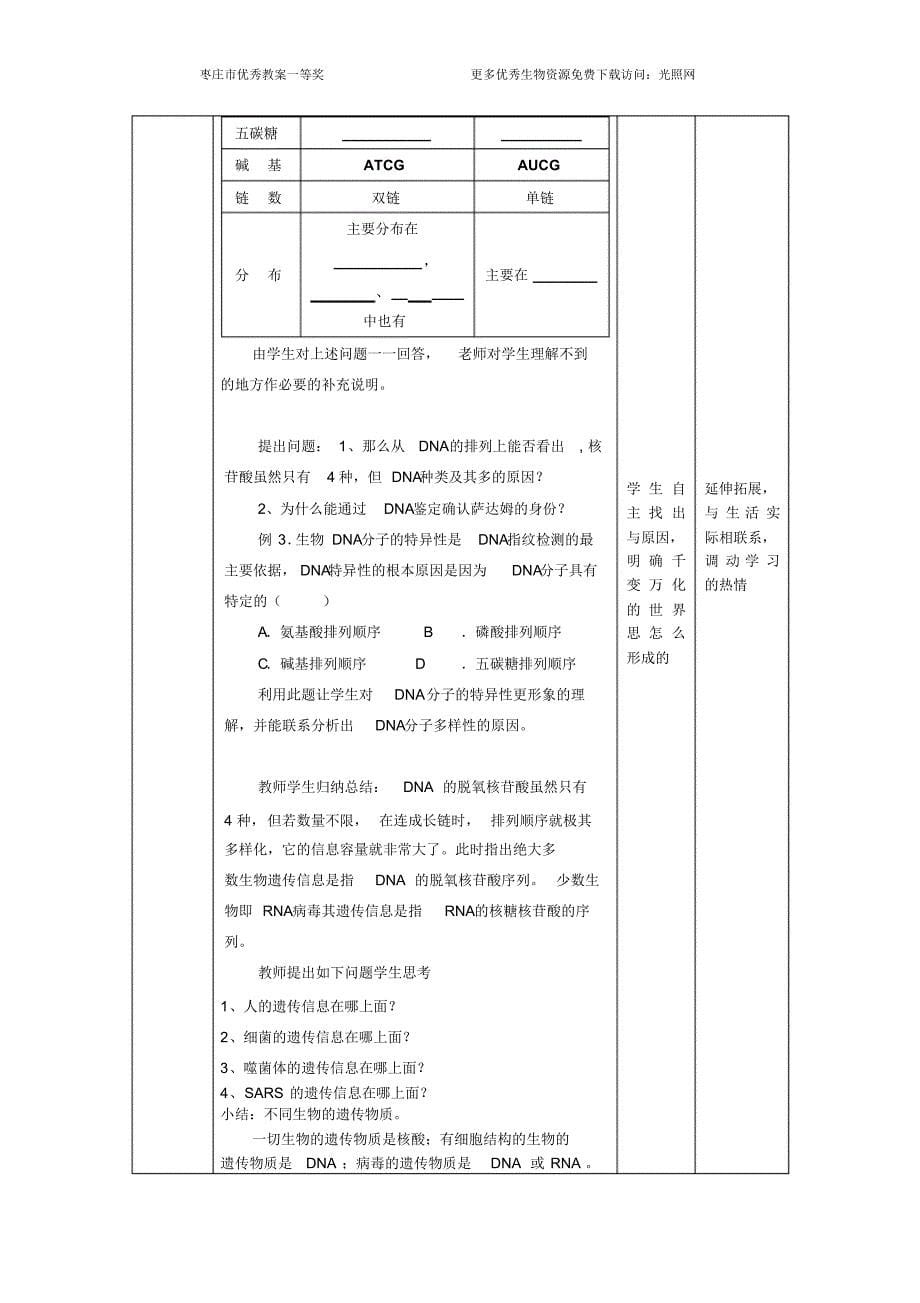 枣庄优秀教案一等奖—遗传信息的携带者--核酸_第5页