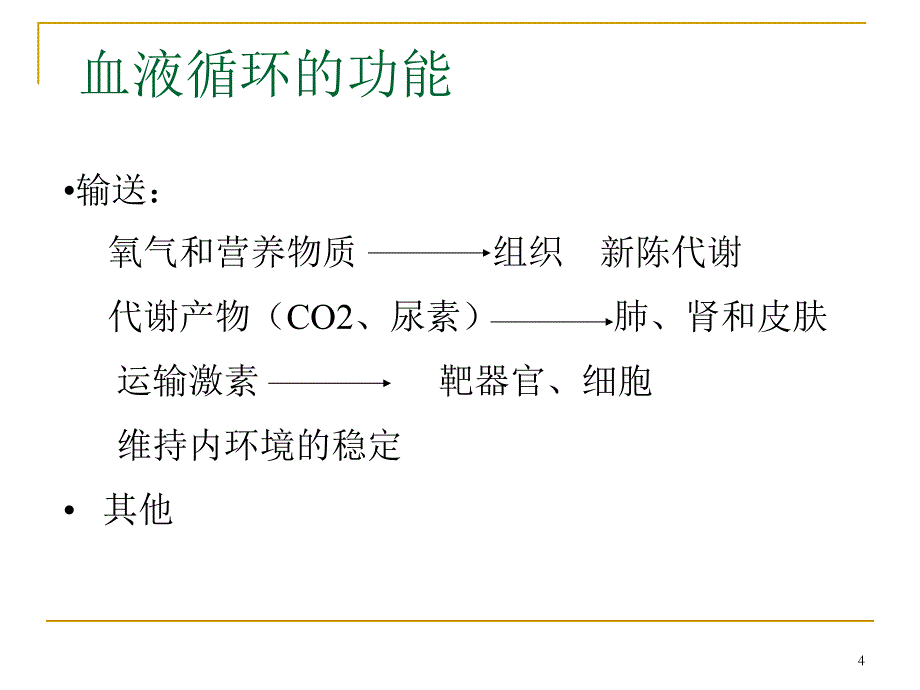 心血管系统解剖_第4页