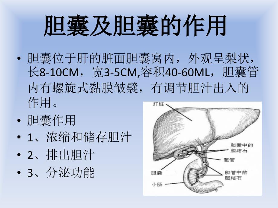 胆囊结石小讲课_第3页