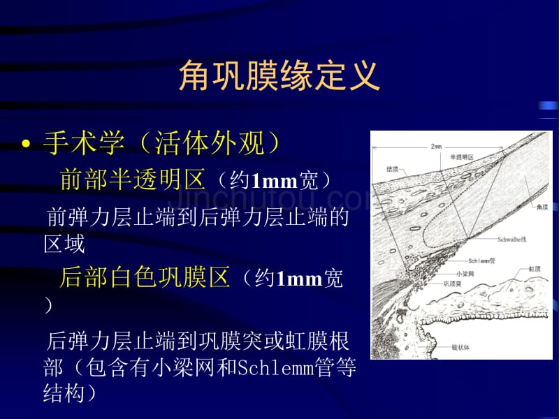 孙兴怀-青光眼小梁切除术的操作技巧与并发症的避免_第3页