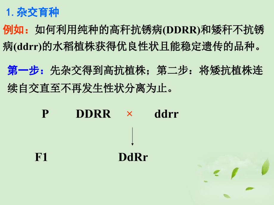 必修二 6.1 杂交育种与诱变育种_第2页