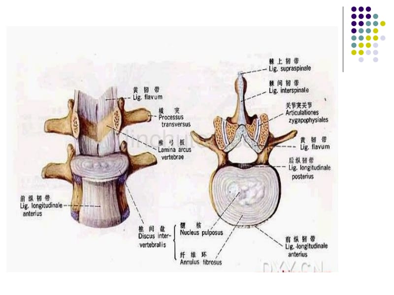 颈椎病围手术期的护理_第4页