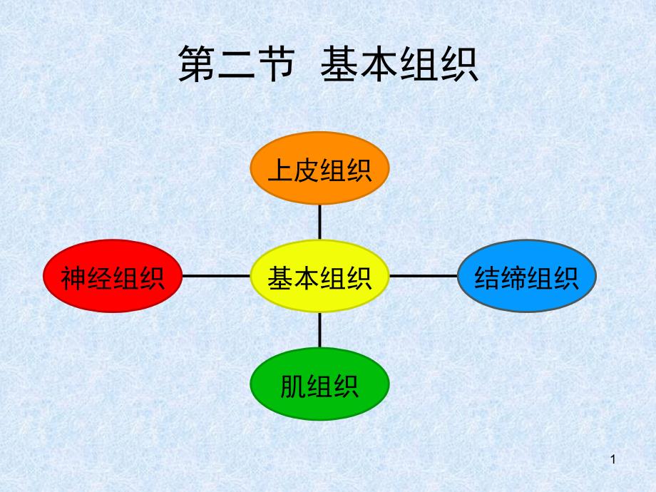 [农学]细胞基本组织_第1页