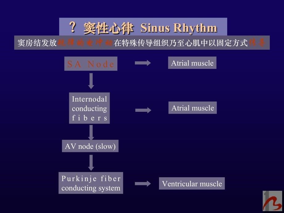 心律失常冯书文_第5页