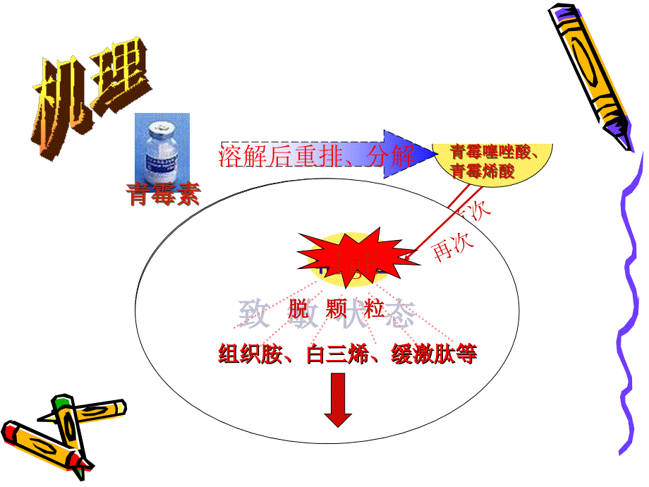 青霉素过敏性休克的抢救_第4页