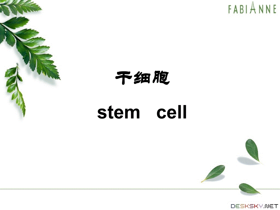 干细胞和肿瘤细胞_第1页