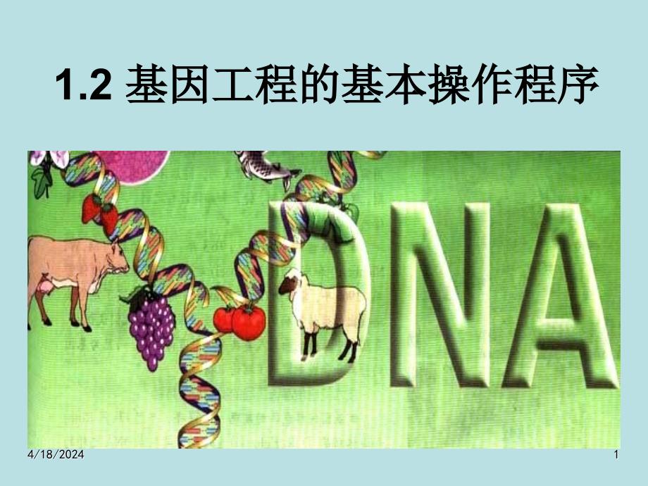 人教版教学课件[名校联盟]江苏省怀仁中学高二生物12 基因工程的基本操作程序 课件_第1页