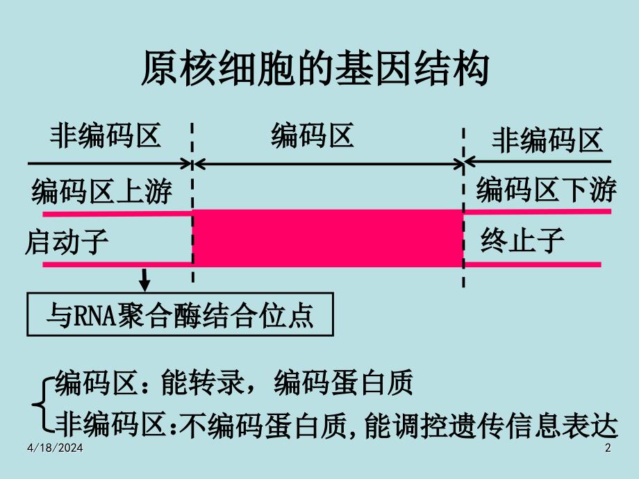 人教版教学课件[名校联盟]江苏省怀仁中学高二生物12 基因工程的基本操作程序 课件_第2页