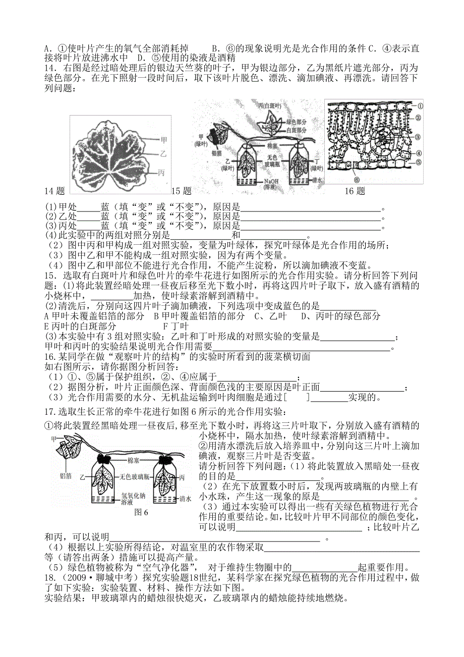 生物圈中的绿色植物(二)_第2页