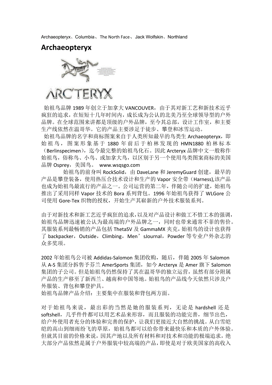 五个国际运动品牌_第1页