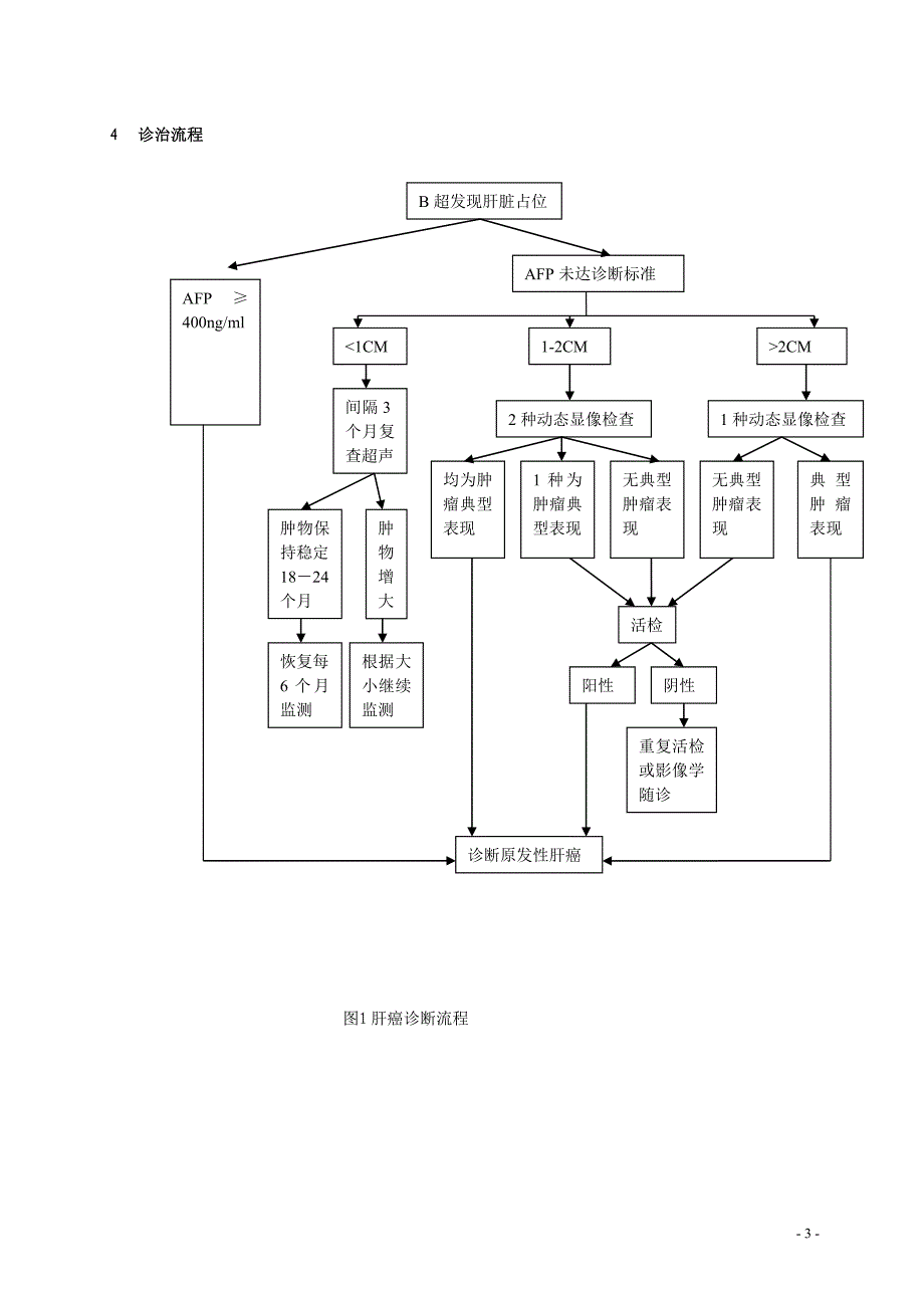 二级医院肝癌规范化诊疗指南_第3页